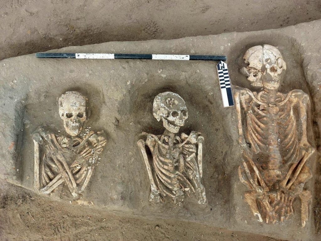 Rare wild boar burials and Greco-Roman cemetery uncovered at Egypt’s Tell Kom Aziza site Rare wild boar burials and Greco-Roman cemetery uncovered at Egypt’s Tell Kom Aziza site