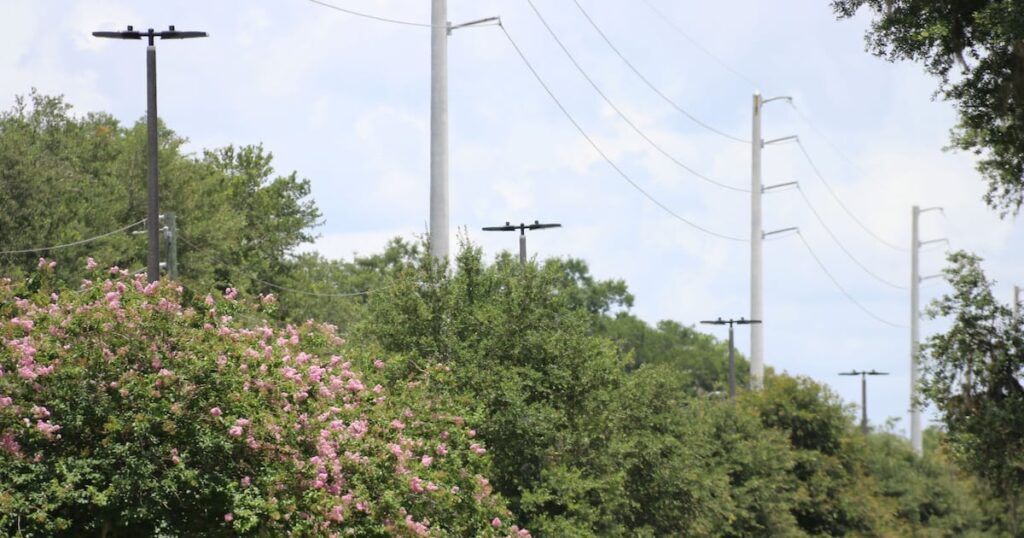 SECO Energy to upgrade outdoor lighting with LEDs