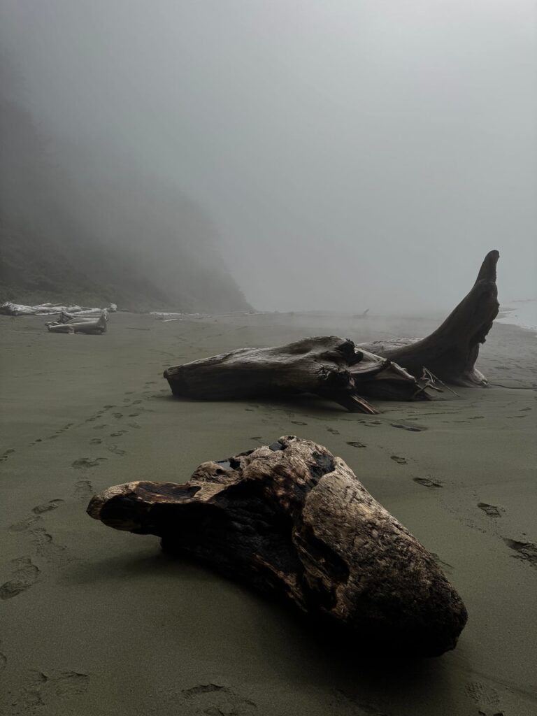 I love the atmosphere of heavy fog at the beach