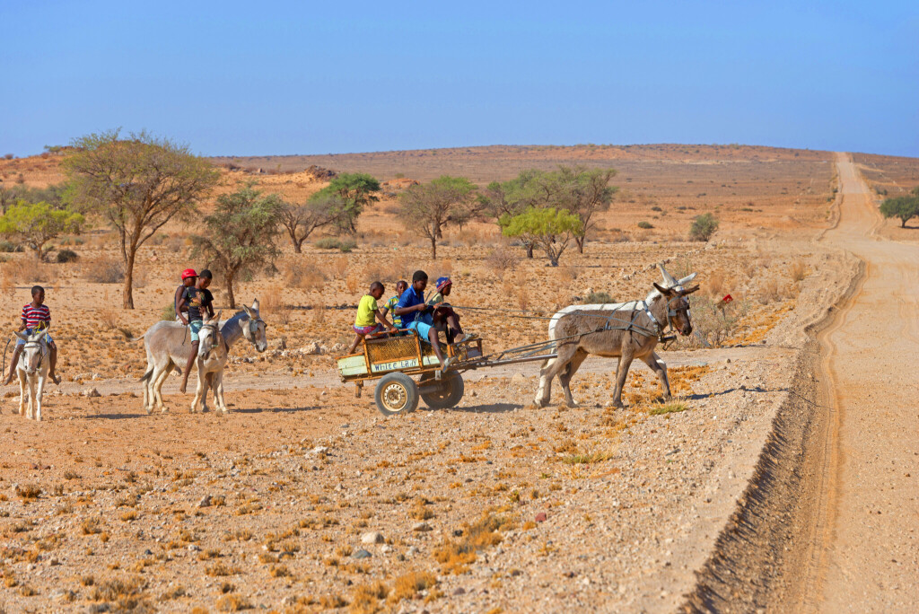 Kinder reiten auf Eseln und fahren mit einem Eselgespann durch die Wueste, Namibia