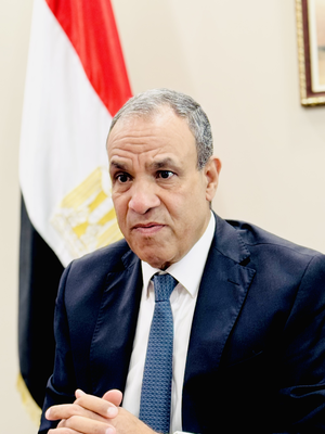 Africa needs tech transfer, not just aid, Egyptian FM says Africa needs tech transfer, not just aid, Egyptian FM says