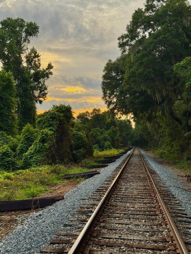 Last evening’s walk