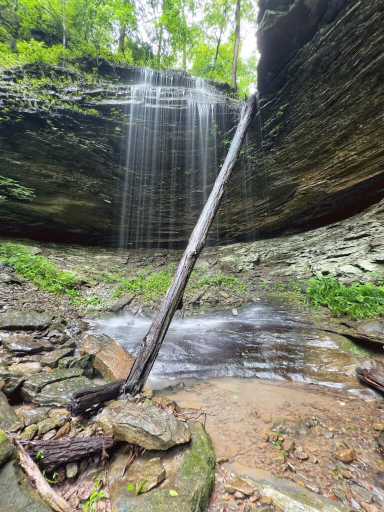 Some of the fabulous unnamed falls in the hills near Hector Arkansas