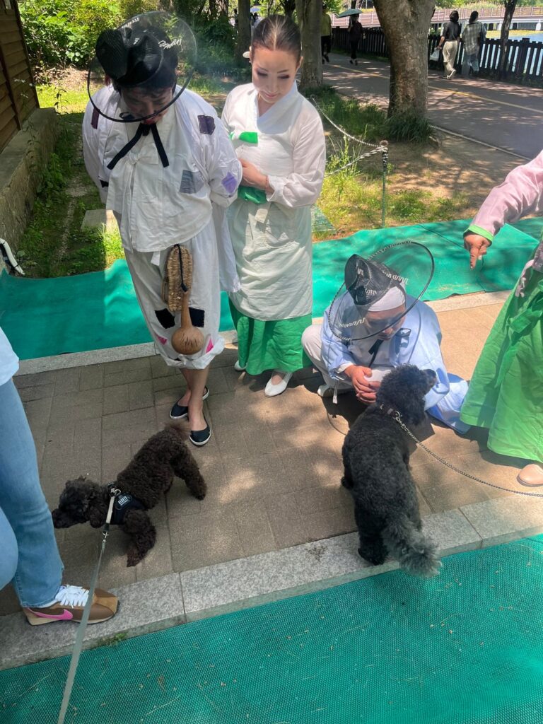 A casual day at Yuldong Park in Bundang, Korea: Traditional buskers, beautiful lake views, and a literal Swain main walking his dog. š A casual day at Yuldong Park in Bundang, Korea: Traditional buskers, beautiful lake views, and a literal Swain main walking his dog. š