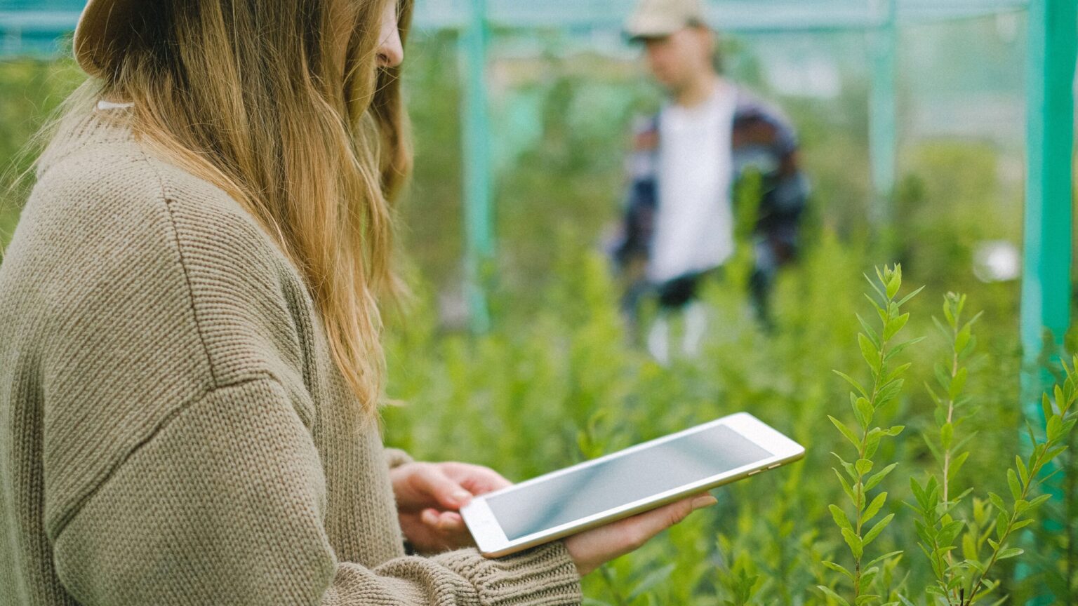 EU AI Act: Sustainability from an Environmental Perspective sustainable technology
