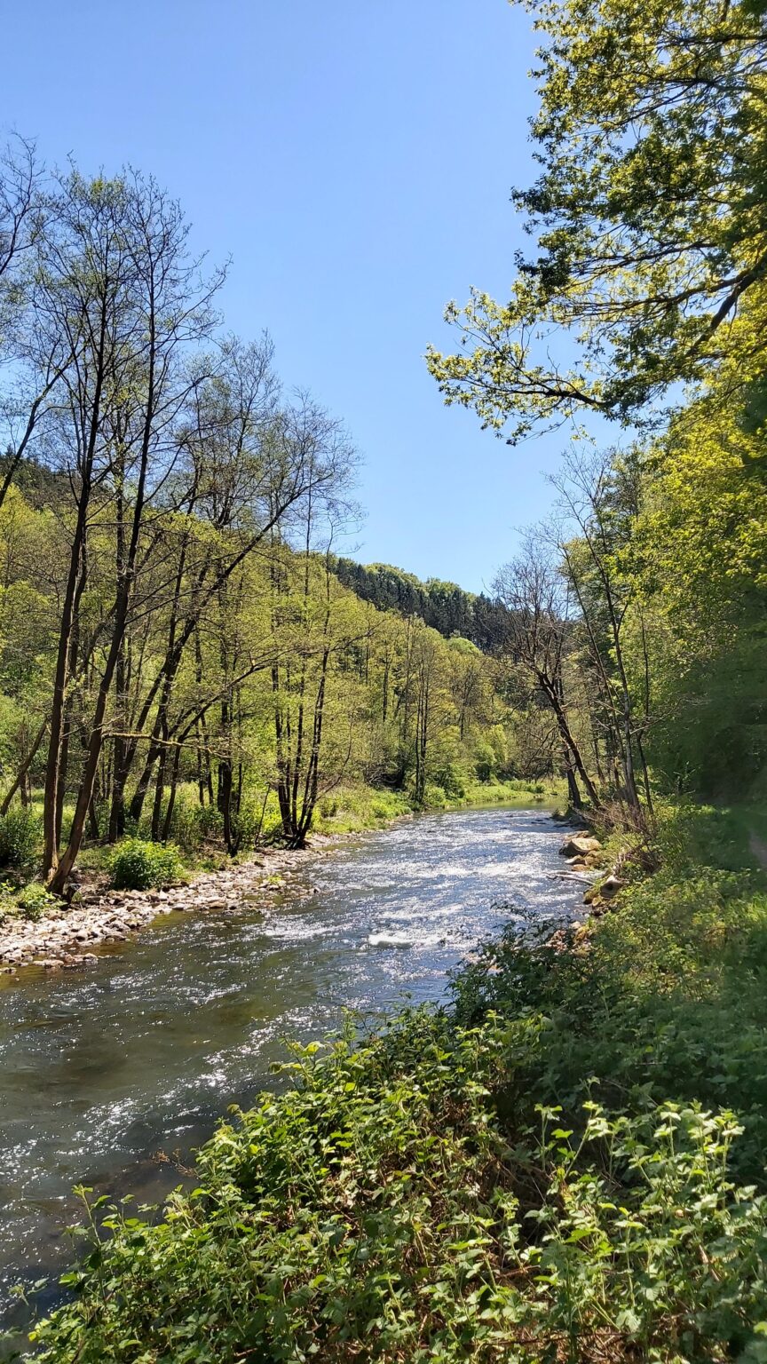Outside is better - Eifel, Germany