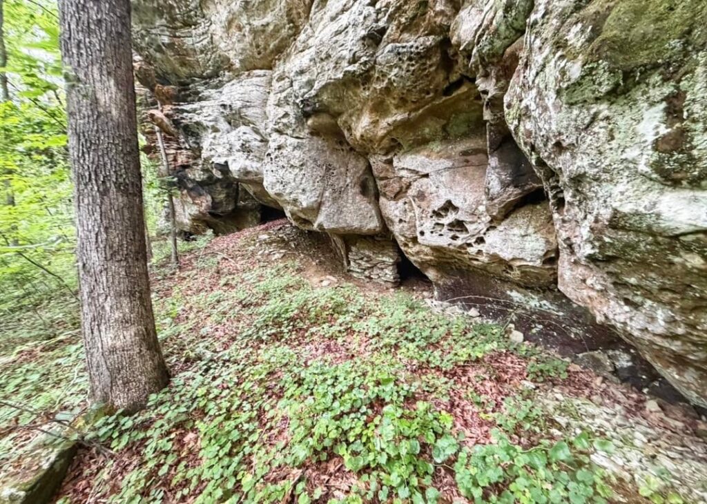 Another treasure of the Arkansas hills