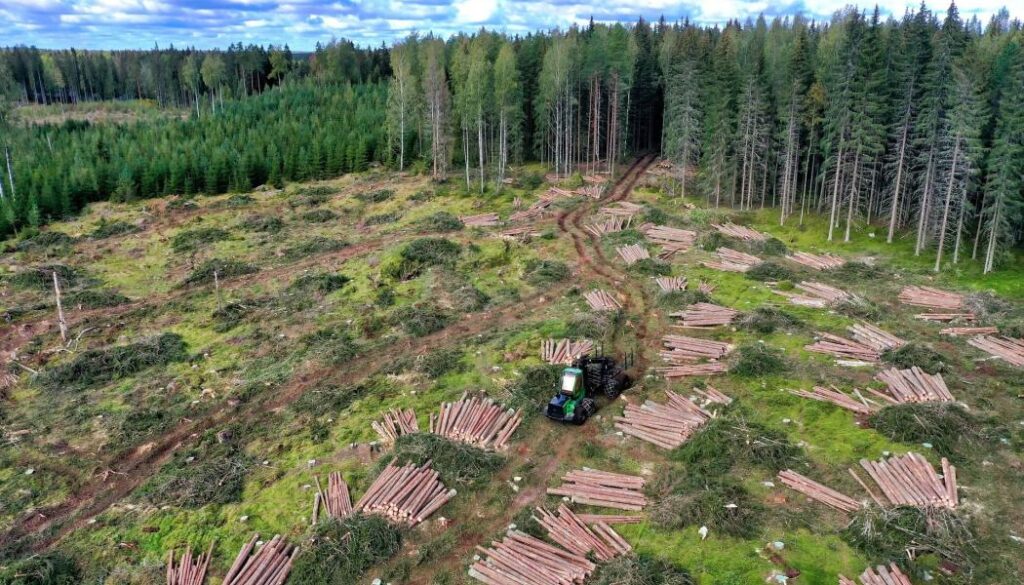 Stumpage revenues are a key component of Finland’s forestry value chain, which directly and indirectly employs around 80,000 people. Photo: Creative Commons Licence. Credit: Reijo Telaranta.