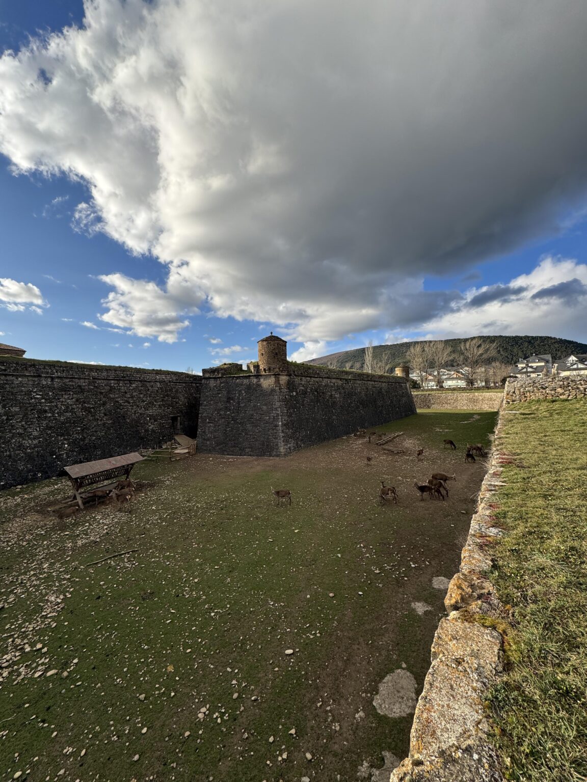Citadel, Jaca!!