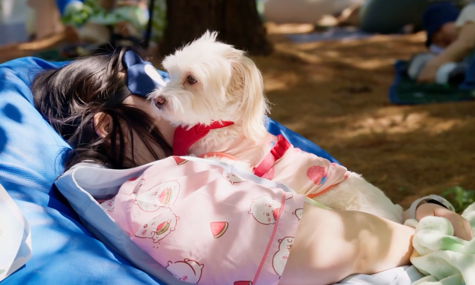 South Korea’s cutest competition sees who naps best in owner-pup contest South Korea's cutest competition sees who naps best in owner-pup contest