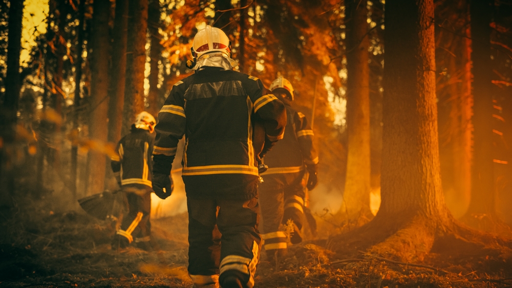 Europe mobilises largest firefighting response to tackle EU wildfires Europe mobilises largest firefighting response to tackle EU wildfires