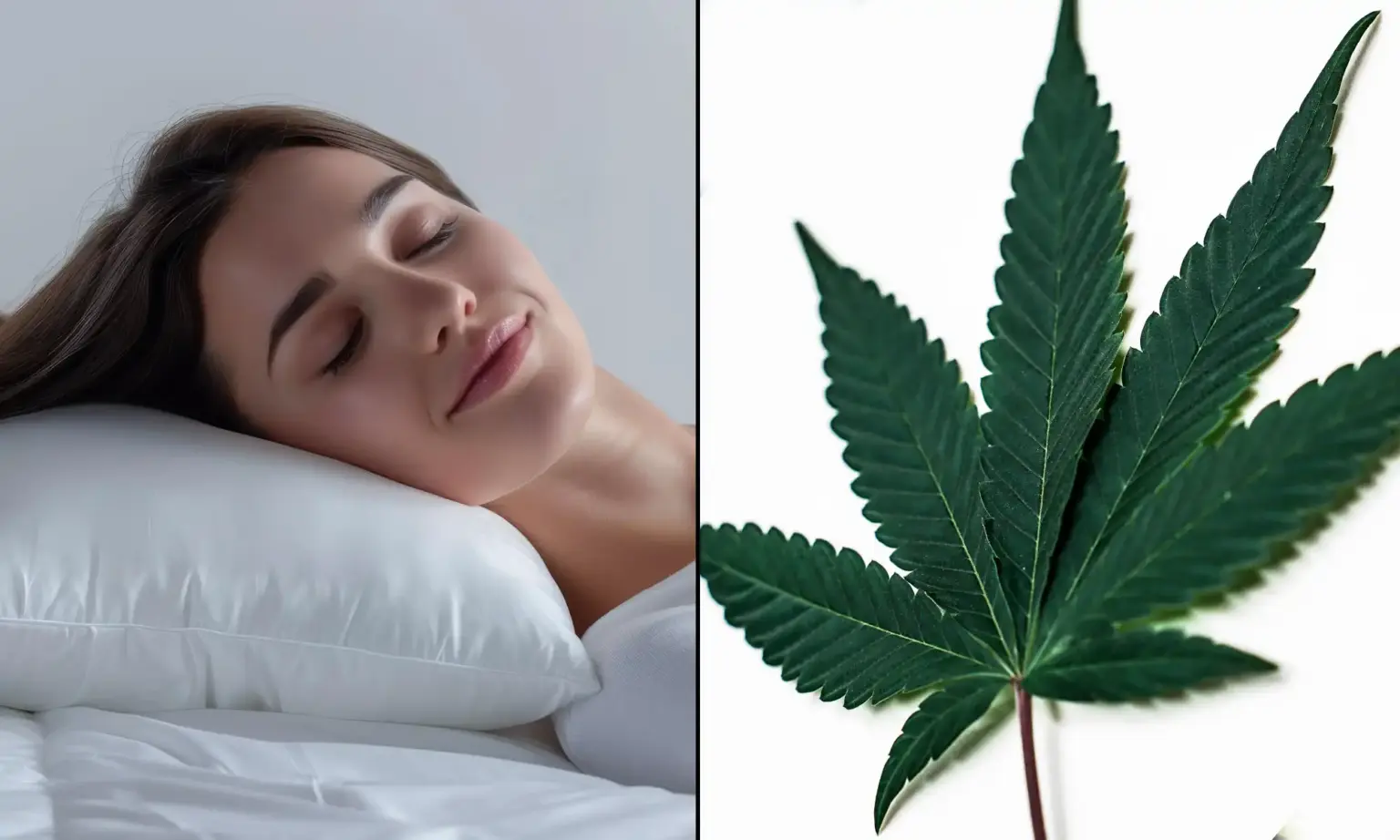 Our New Study Shows That The Science Of Cannabis And Sleep Extends Beyond THC (Op-Ed)