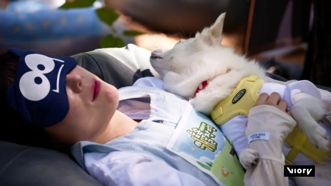 South Korea's cutest competition sees who naps best in owner-pup contest