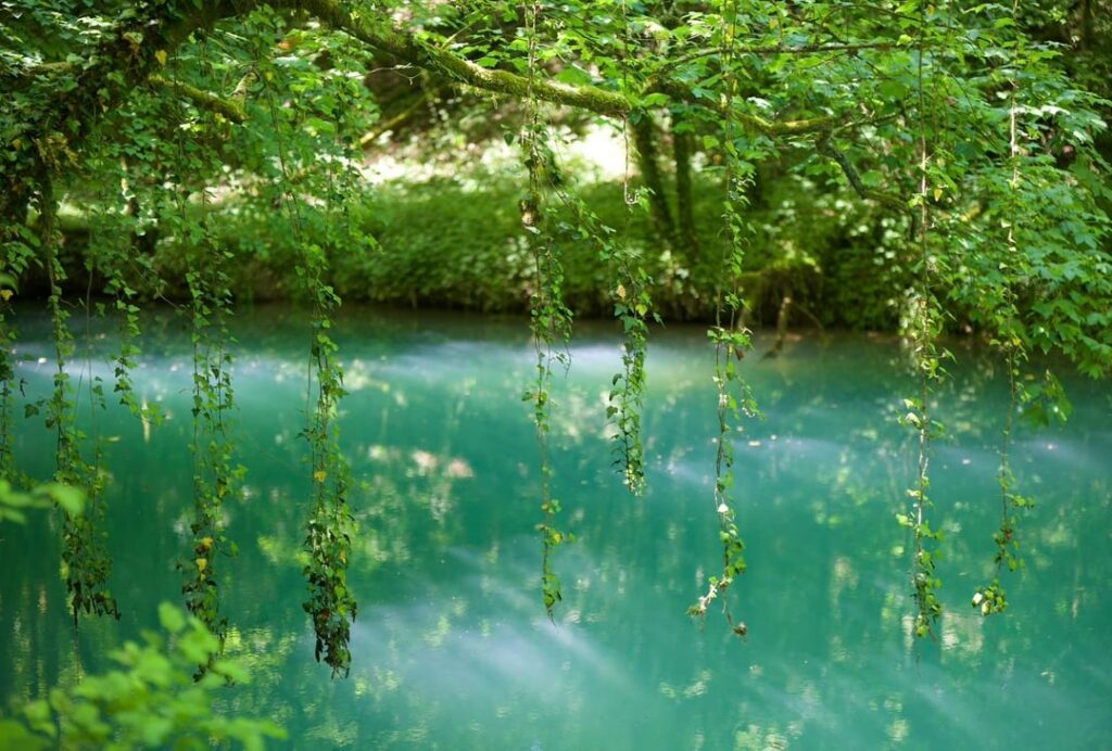 🌱 Slovenia, lower right.