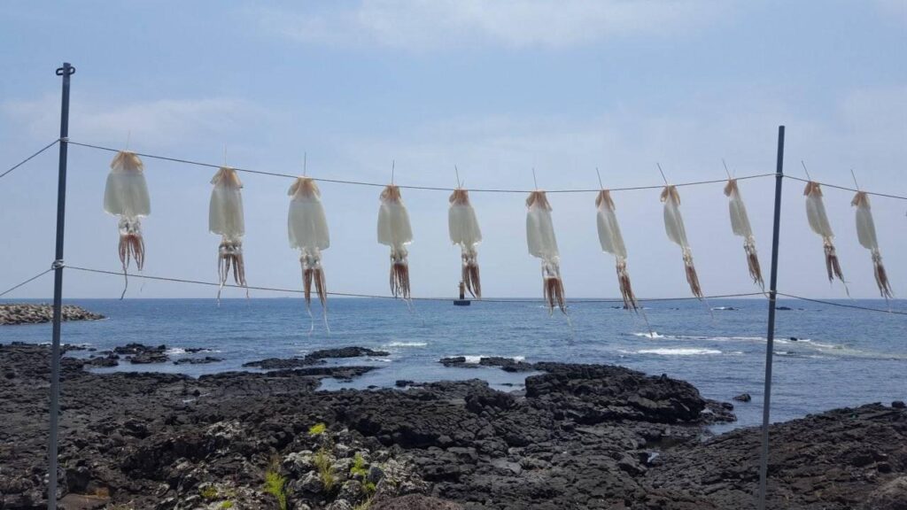 Laundry? Nope. Squid.