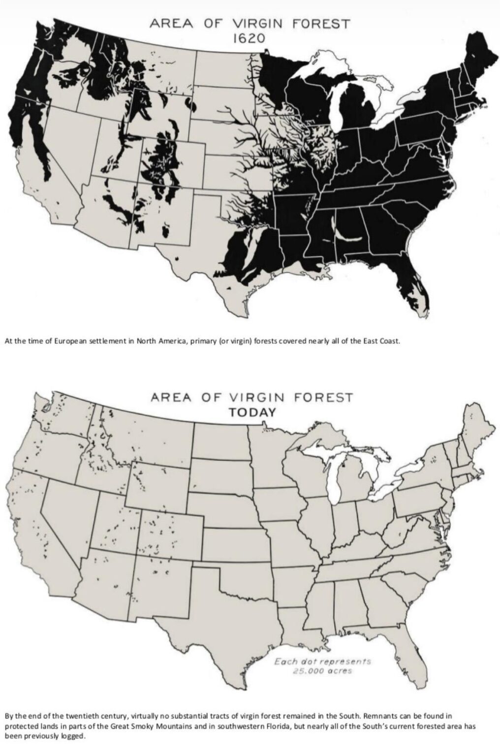 Area of US Virgin Forest in 1620 vs Today 💔 Area of US Virgin Forest in 1620 vs Today 💔