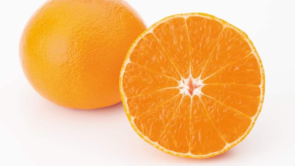 Saplings of Ehime prefecture’s premium citrus fruit "Red Princess" May Have Leaked to China; similar fruit now available there. Agriculture Minister Suzuki: "Working on Deterrence"