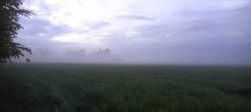 Took these photos in Finland. Does this look like Estonia at all?