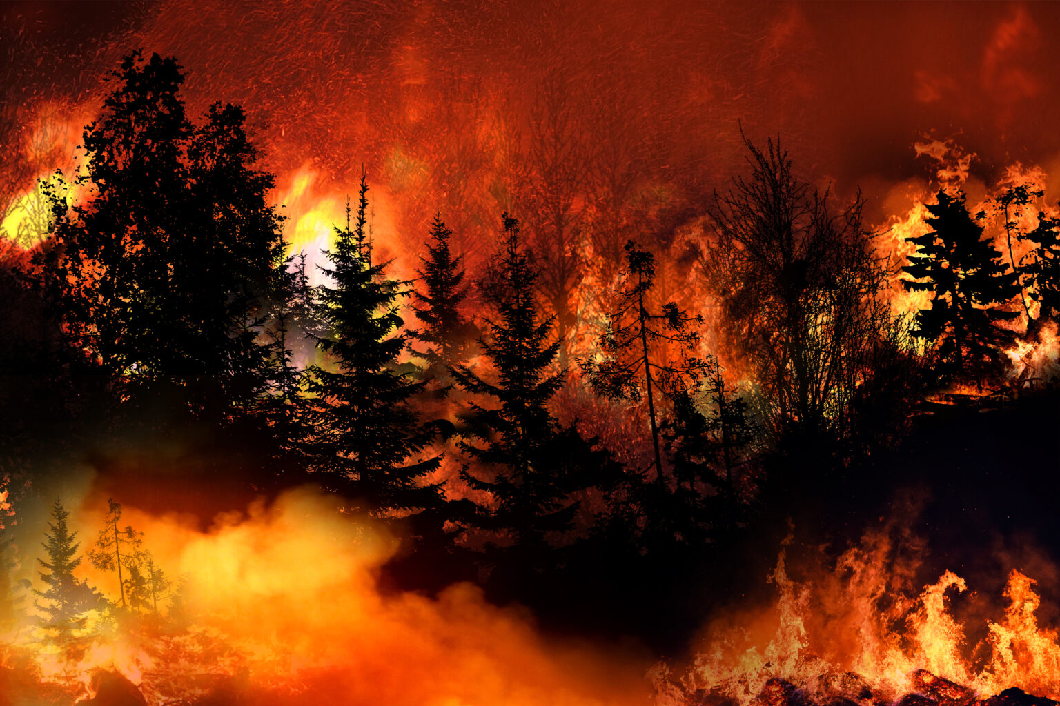 Europe prepares for an even harsher wildfire season this summer – Europe prepares for an even harsher wildfire season this summer -