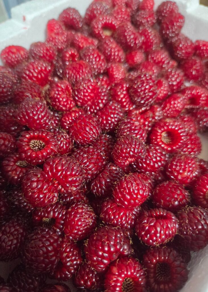 I bought and tried korean raspberry and it's sooooo good