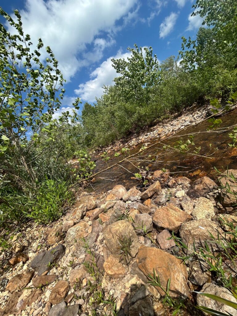 Johnson Shut Ins State Park