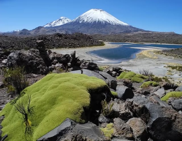Andean Highlands Chile