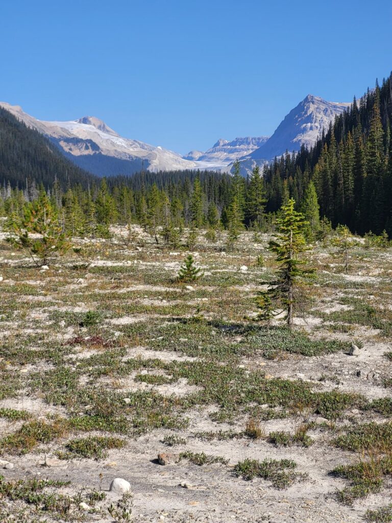 Yoho National Park, British Columbia, Canada