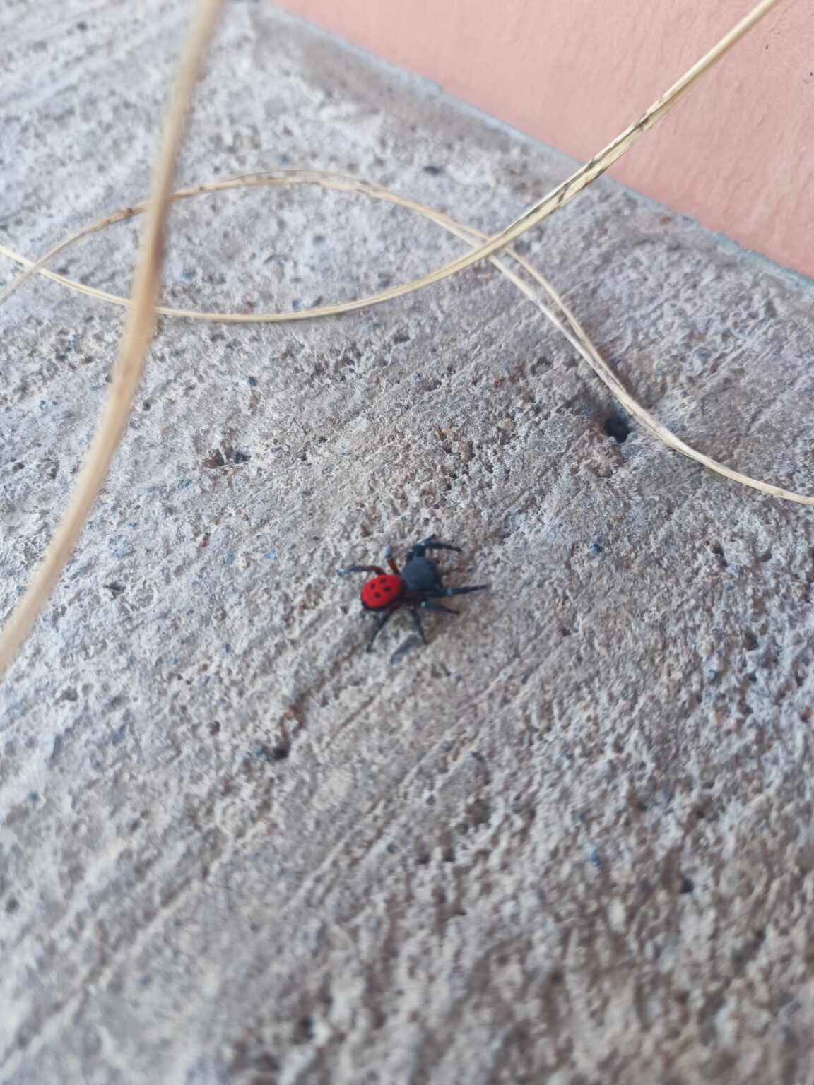 Entomologist?