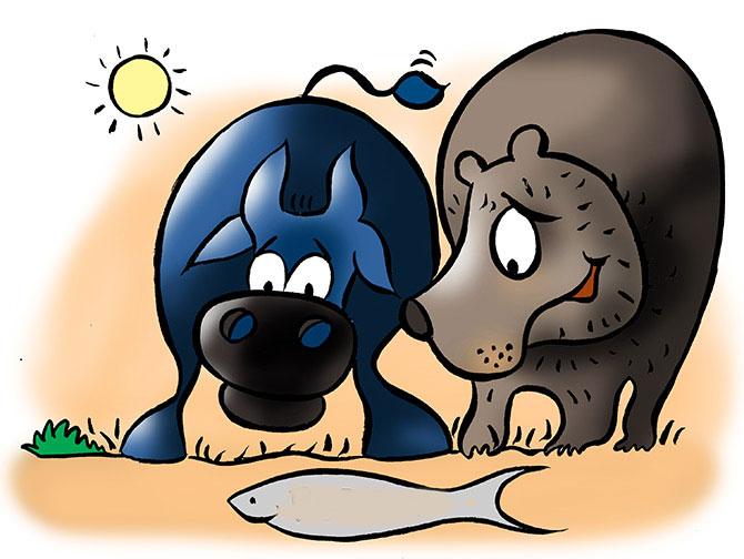 Market bull and bear Market bull and bear