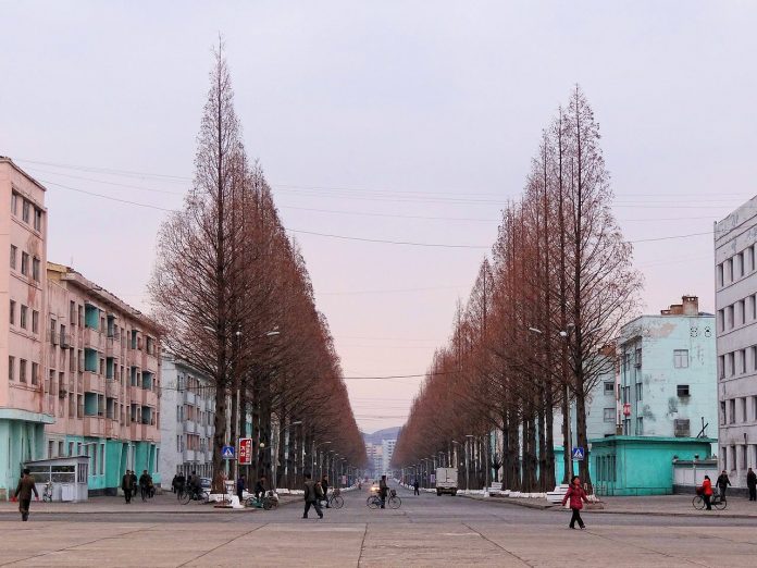 pyongsong market business loans