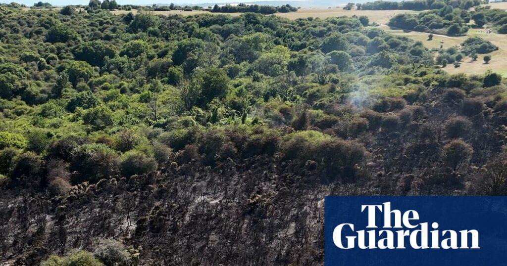 Most UK media reports on June heatwave failed to mention climate crisis | Extreme heat Most UK media reports on June heatwave failed to mention climate crisis | Extreme heat