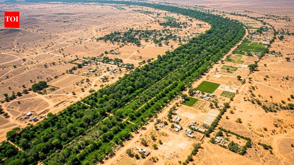 After the Great Wall of China, Africa is building an 8,000-km ‘Wall of Trees’ to fight climate change, restore land and feed millions | After the Great Wall of China, Africa is building an 8,000-km 'Wall of Trees' to fight climate change, restore land and feed millions |