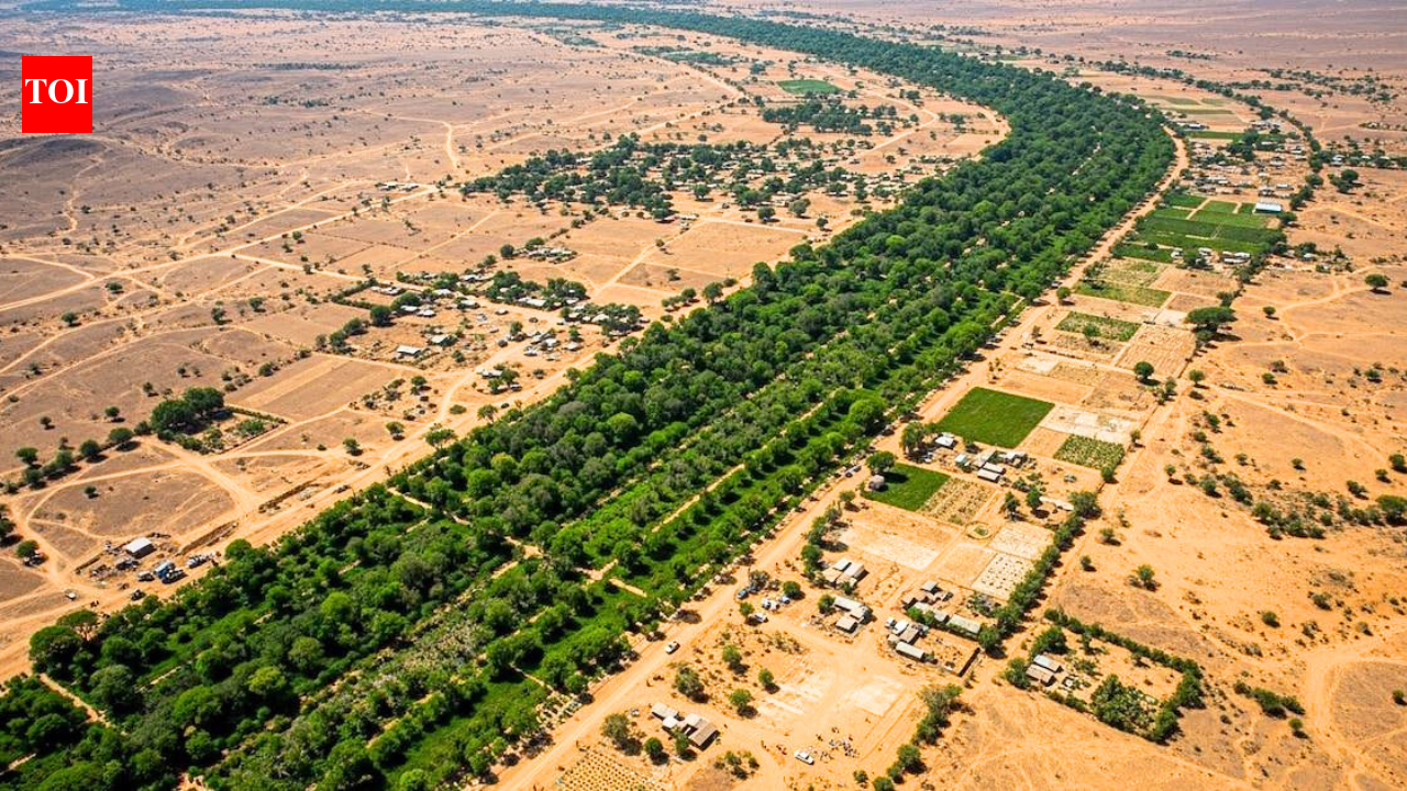 After the Great Wall of China, Africa is building an 8,000-km 'Wall of Trees' to fight climate change, restore land and feed millions | - Bytes Europe