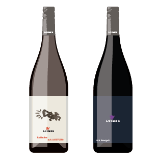 Austrian Wine Makers: Five Vintners Crafting Excellence Two wine bottles from Austrian winery with white and dark labels against plain background