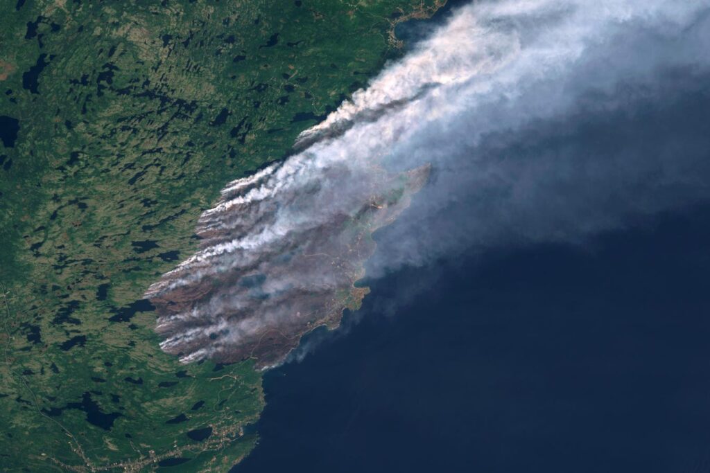 These Fires And Heat Waves Show Why They Call It Global Warming These Fires And Heat Waves Show Why They Call It Global Warming