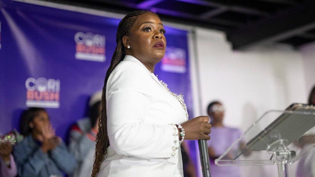 Ousted Squad Dem’s comeback bid puts radical activist ties back in spotlight Ousted Squad Dem’s comeback bid puts radical activist ties back in spotlight