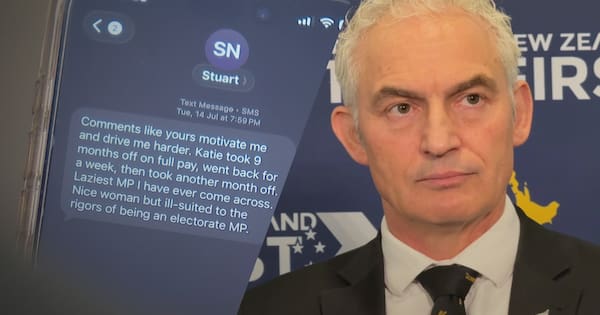 Stuart Nash resigns as NZ First candidate after 'sexist' text