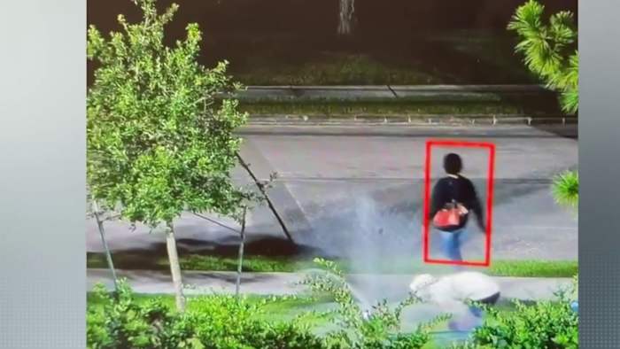 Thieves caught on camera stealing backflow preventers from Kingwood businesses, cost thousands in repairs Thieves caught on camera stealing backflow preventers from Kingwood businesses, cost thousands in repairs
