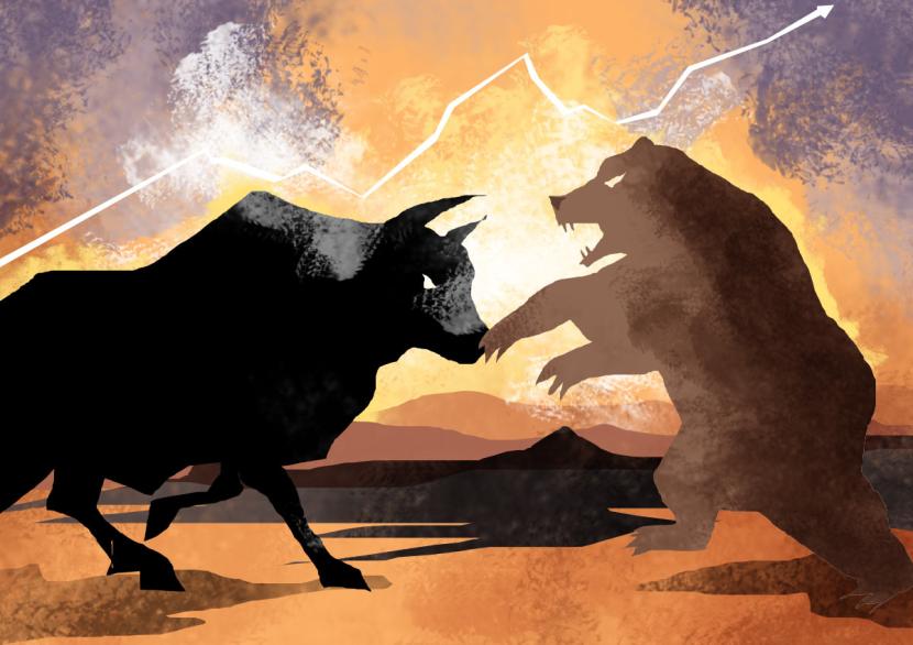 Bear and bull