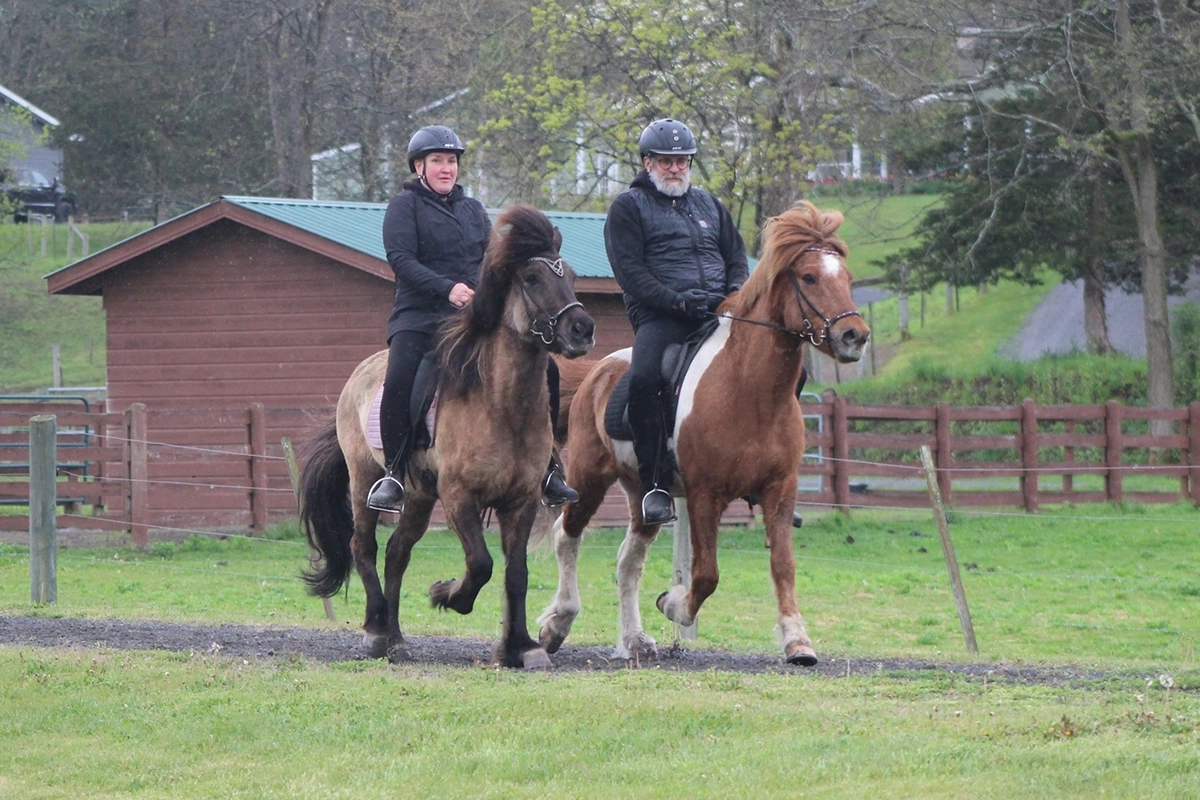 Two horse-and-rider pairs.