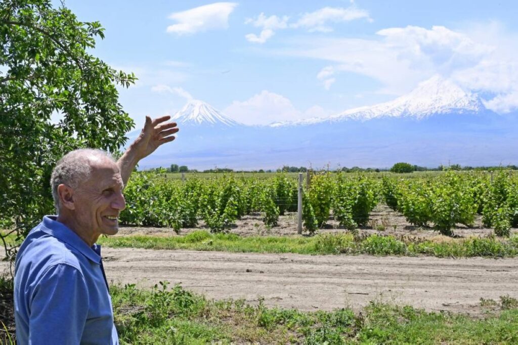 Armenian apricots become geopolitical battleground with Russia Apricot farmer Aramais Kazaryan, 75, talks to AFP reporters in his orchard in the village of Vosketap in Armenia's Ararat valley, with Mount Ararat seen in distance.