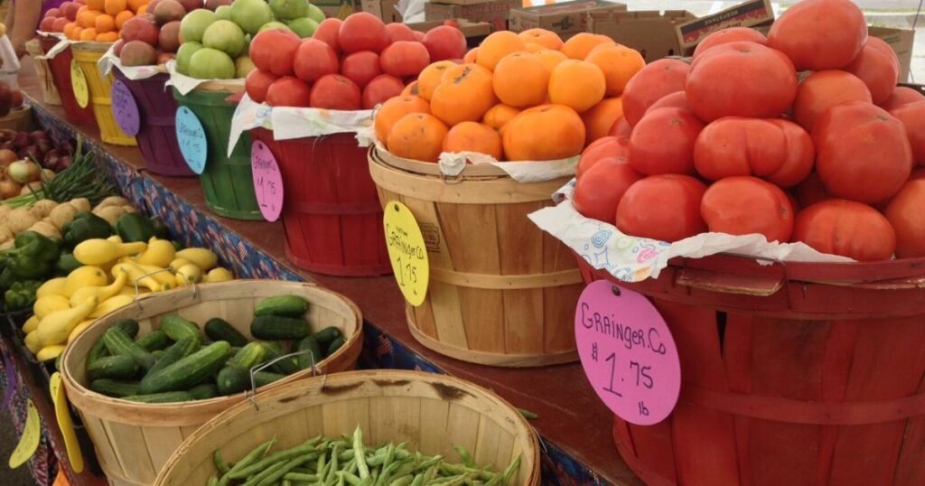 Grainger Tomato Festival celebrates 33rd year | Arts & Entertainment Grainger Tomato Festival celebrates 33rd year | Arts & Entertainment