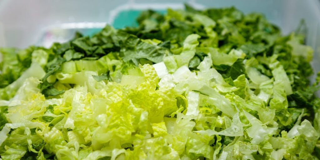 Cyclospora Outbreak Cause Identified: Contaminated Lettuce Cyclospora Outbreak Cause Identified: Contaminated Lettuce
