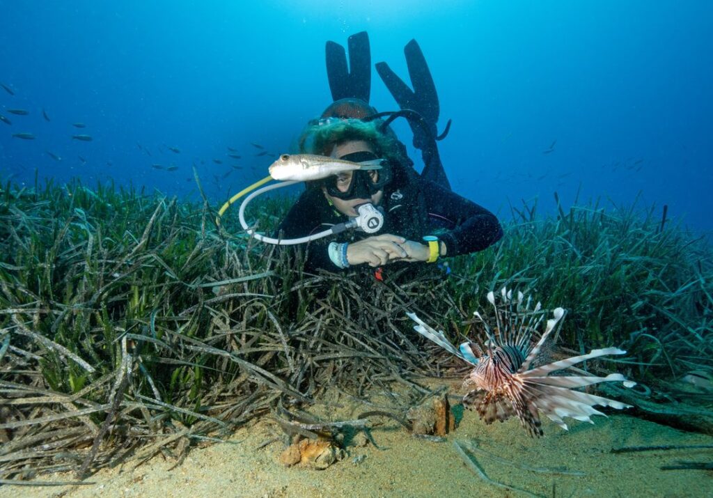 Climate crisis drives spread of invasive species across warming Mediterranean Climate crisis drives spread of invasive species across warming Mediterranean