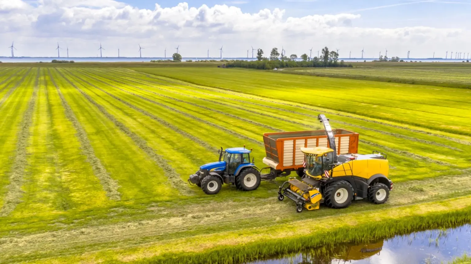 Uzbekistan Eyes Deeper Agricultural Partnership with Belarus’s Brest Region — News.by Uzbekistan Eyes Deeper Agricultural Partnership with Belarus’s Brest Region — News.by