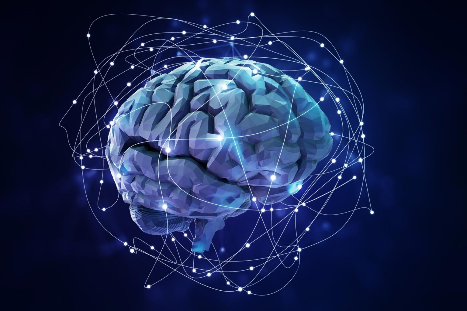 Scientists Just Challenged a 70-Year-Old Myth About the Human Brain Brain Neural Network Neuroscience