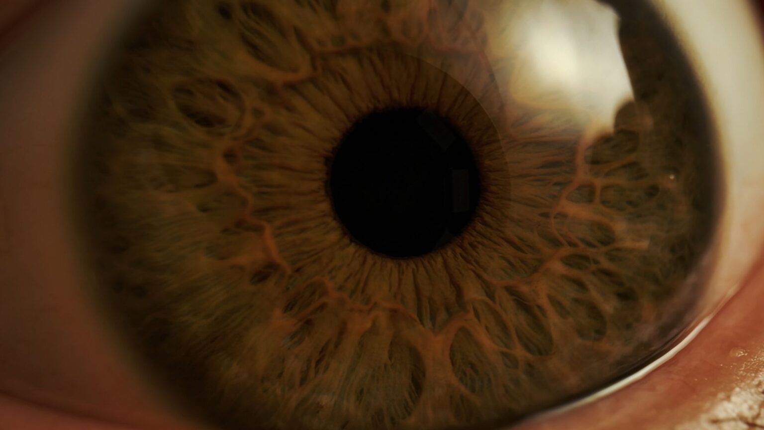 Scientists Built a 3D-Printed Box That Can Keep Eyes Alive After Death