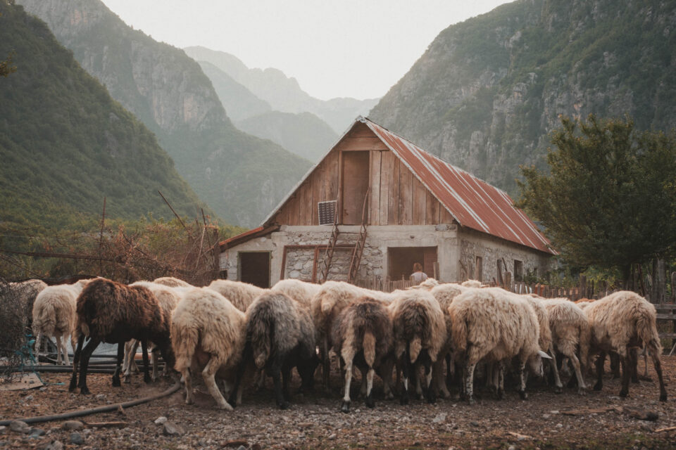 The People in Empty Places, Bikepacking Albania