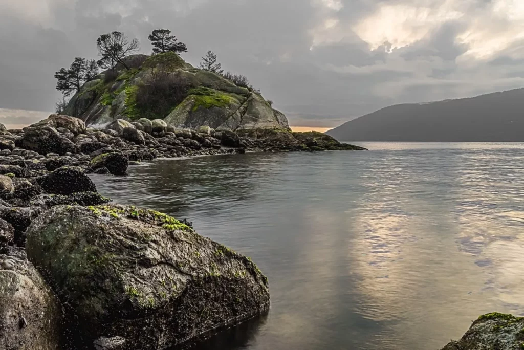A diver has died at Whytecliff Park (Luke Lawreszuk)