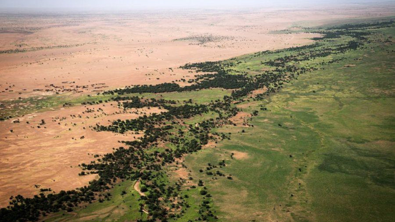 After the Great Wall of China, Africa is building an 8,000-km 'Wall of Trees' to fight climate change, restore land and feed millions